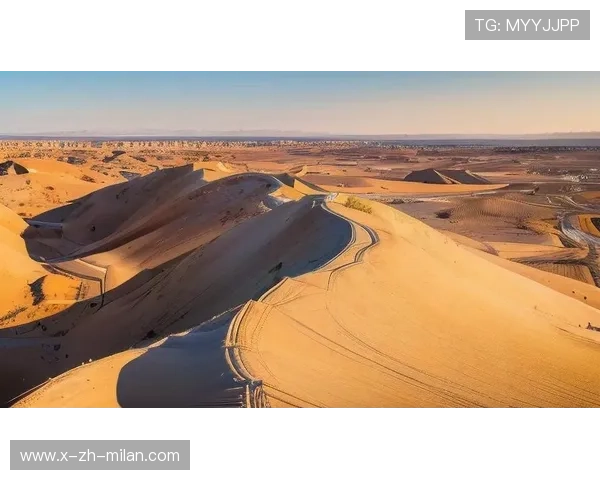 _荒漠淘金：在广袤沙丘中的耐力大比拼_，沙漠拓荒